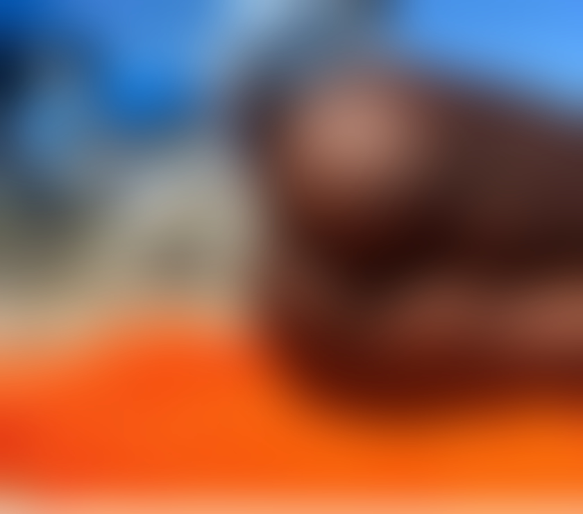 Escorts North West London Euston Square Station - North West London - Photos for TWO NAUGHTY BLACK EBONY GIRLS WANT TO PLAY AND PARTY